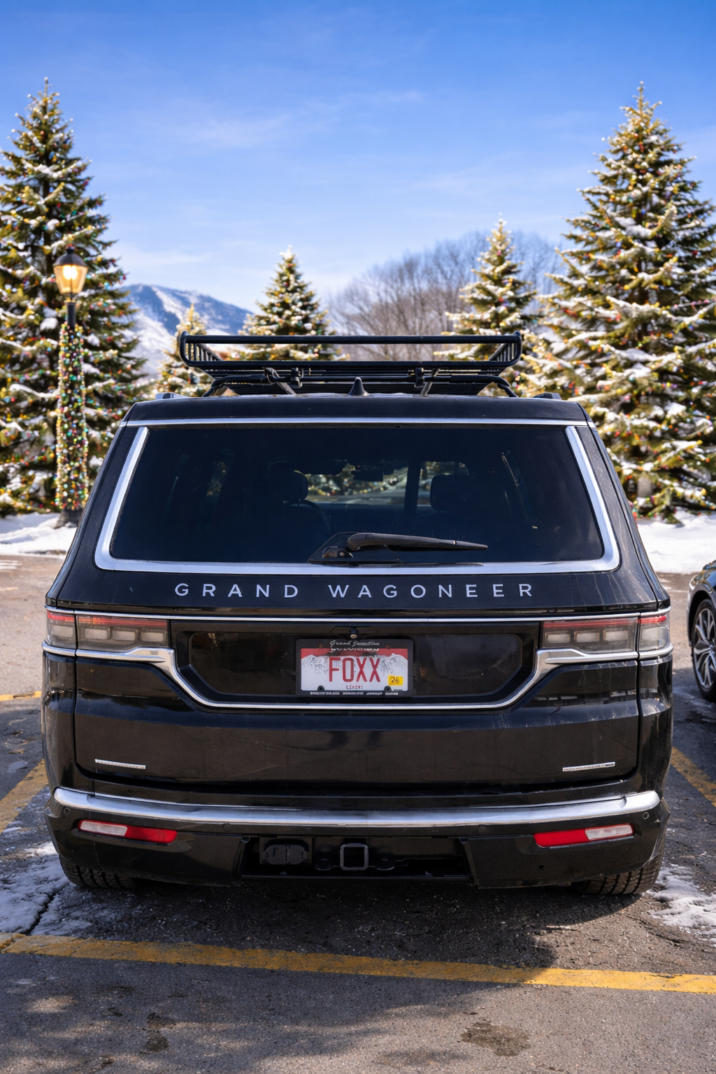 silver fox limo service